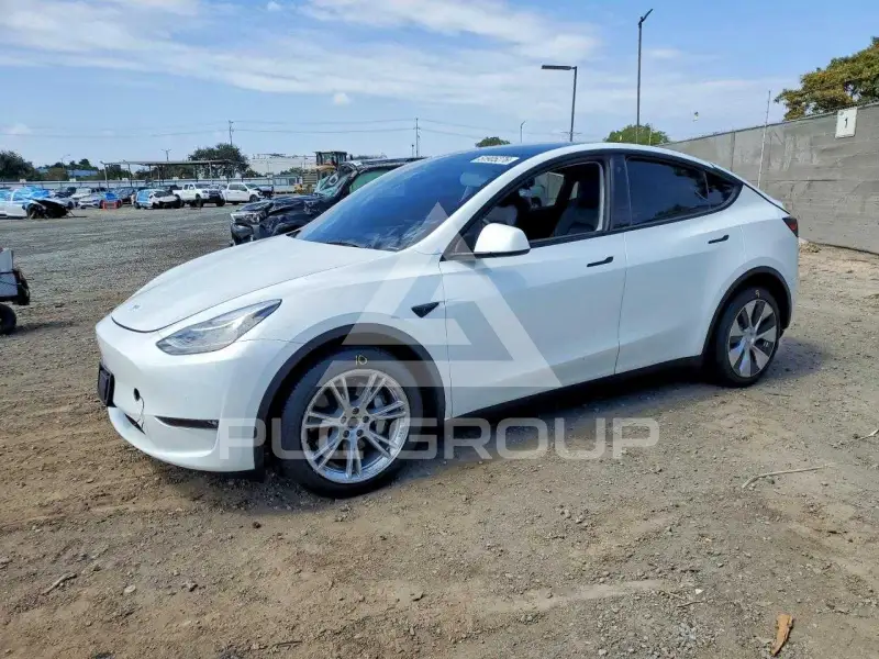 2022 Tesla Model Y фото