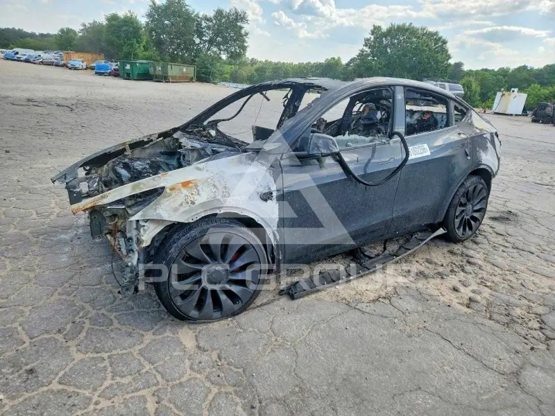 2022 Tesla Model Y photo