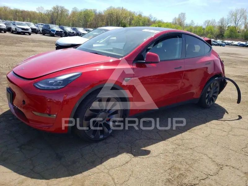 2022 Tesla Model Y фото