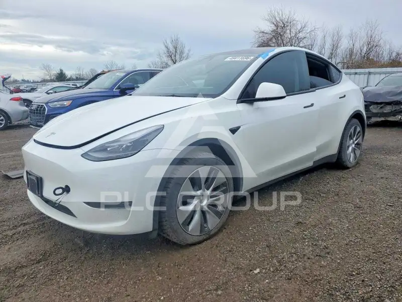 2022 Tesla Model Y фото