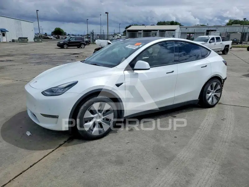 2022 Tesla Model Y photo