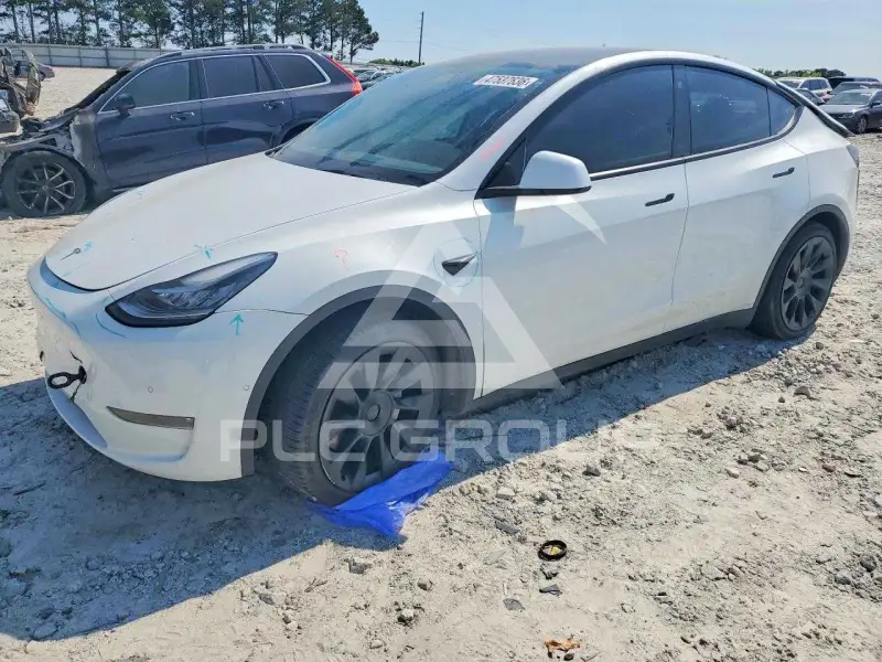 2022 Tesla Model Y photo