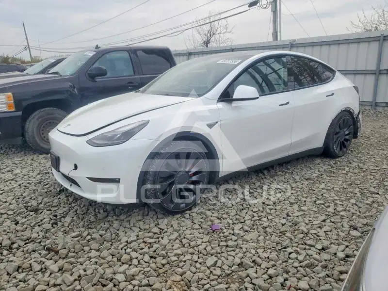 2022 Tesla Model Y фото