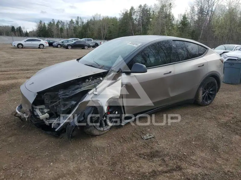2022 Tesla Model Y фото