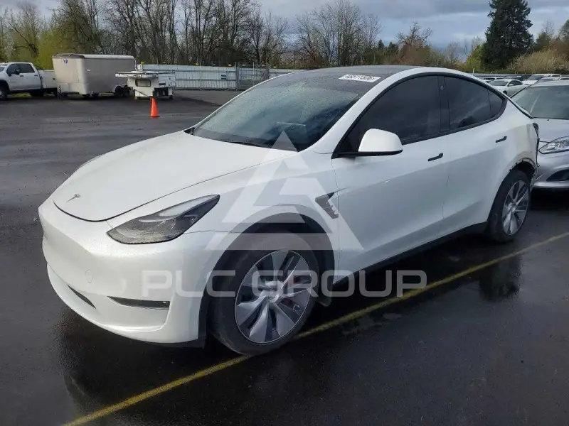 2022 Tesla Model Y фото