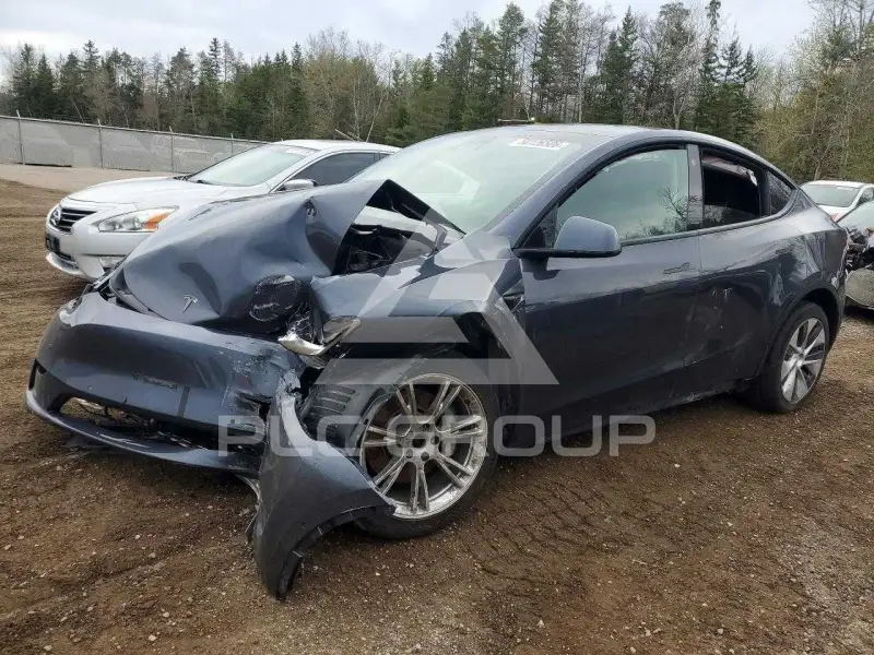 2022 Tesla Model Y фото