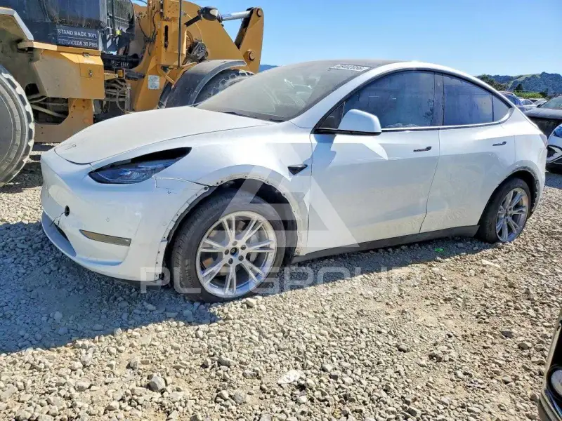 2022 Tesla Model Y фото