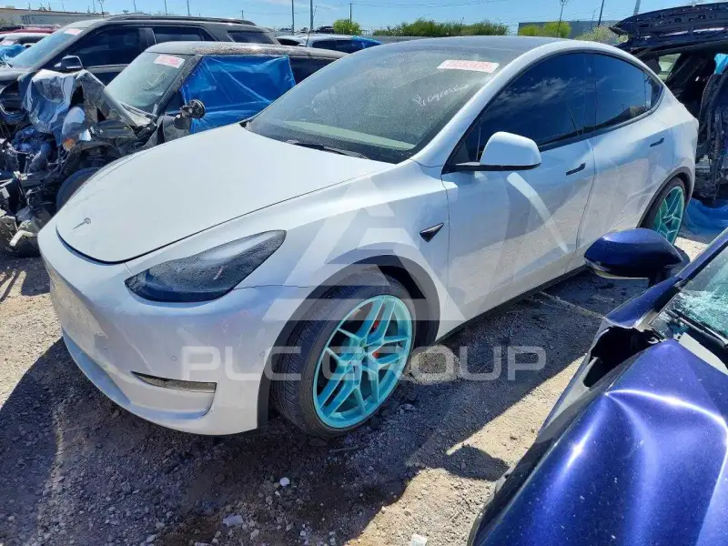 2022 Tesla Model Y фото