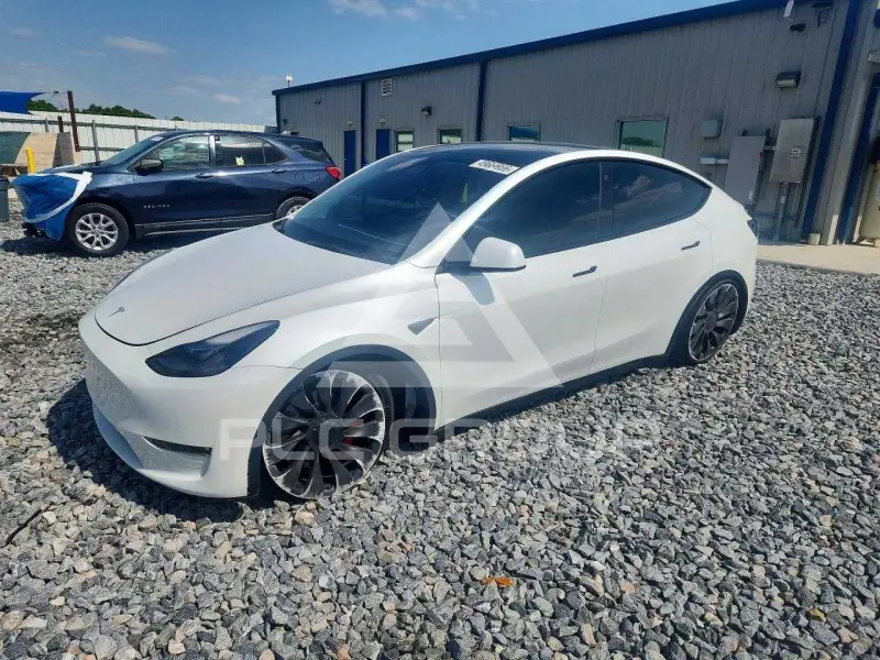 2022 Tesla Model Y photo