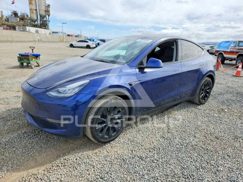 2022 Tesla Model Y фото