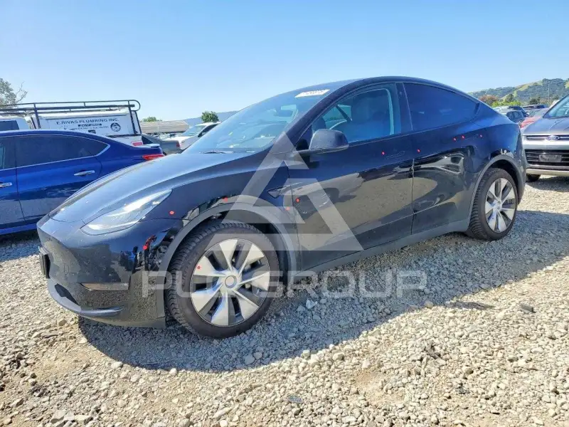 2022 Tesla Model Y photo