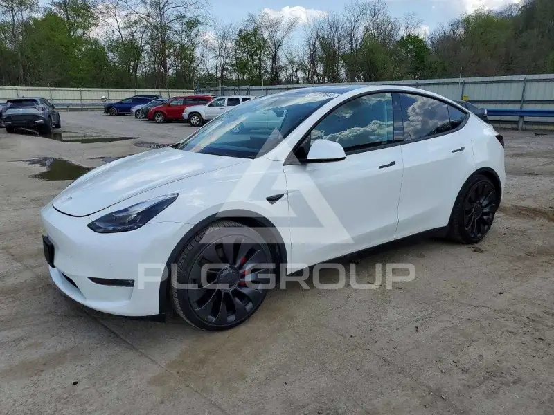 2022 Tesla Model Y photo
