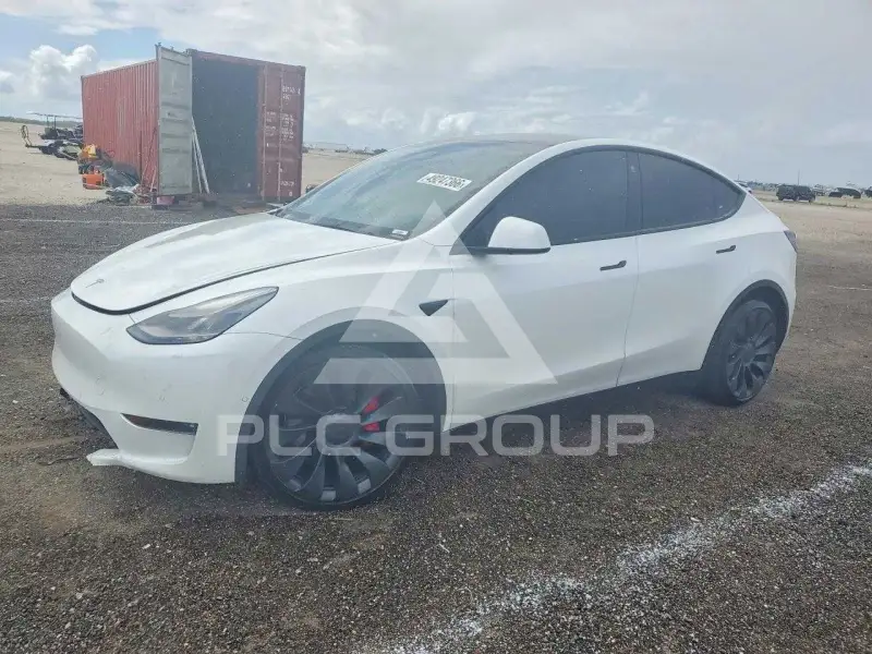 2022 Tesla Model Y фото
