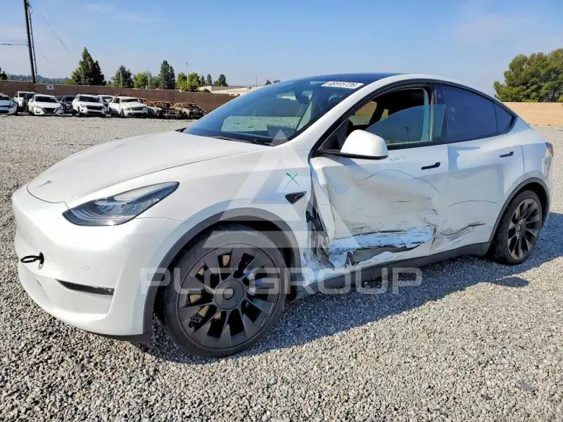 2022 Tesla Model Y photo