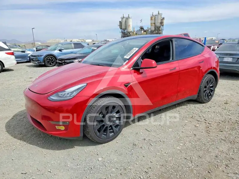 2022 Tesla Model Y фото