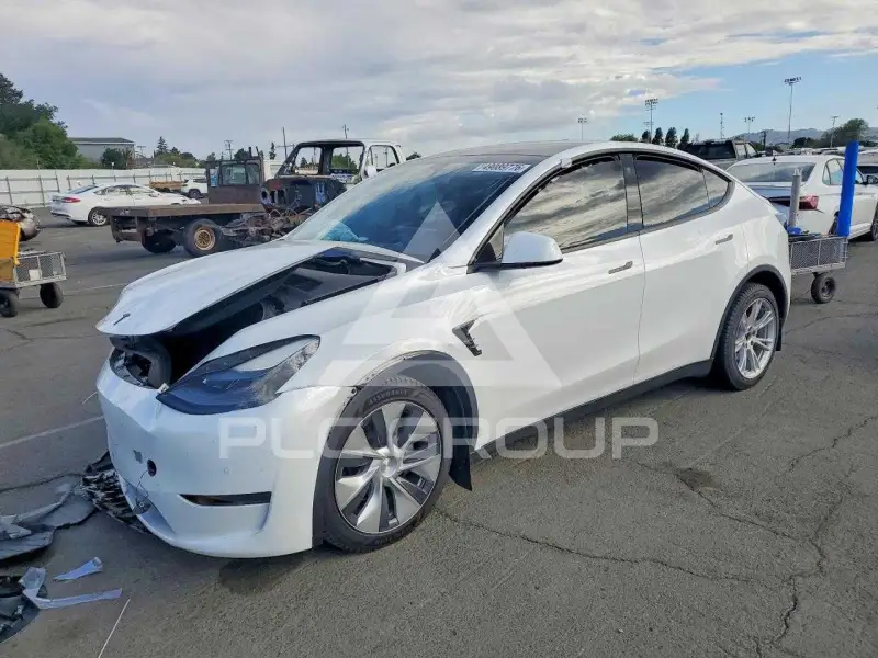 2022 Tesla Model Y фото