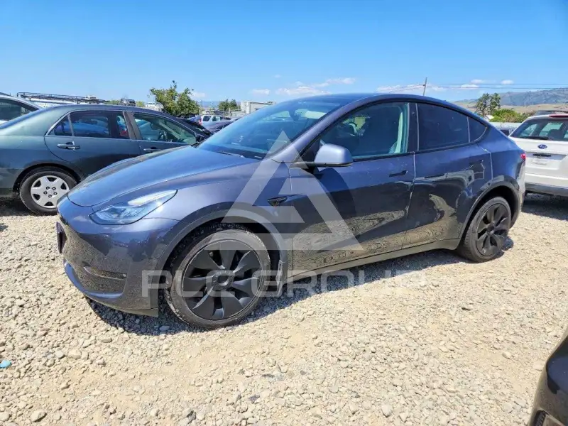 2022 Tesla Model Y фото