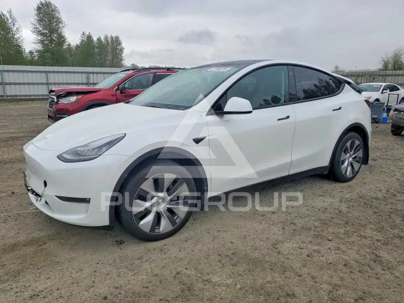 2022 Tesla Model Y photo