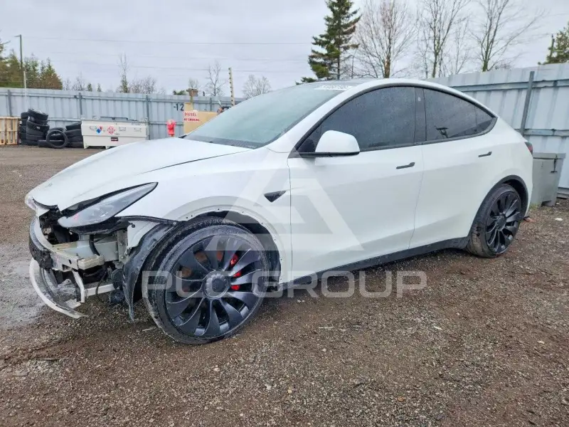 2022 Tesla Model Y photo