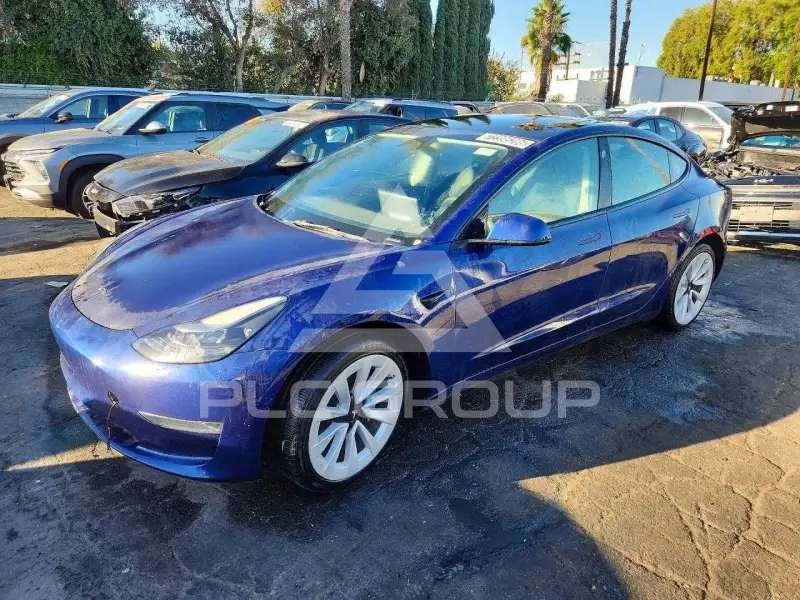 2022 Tesla Model 3 фото