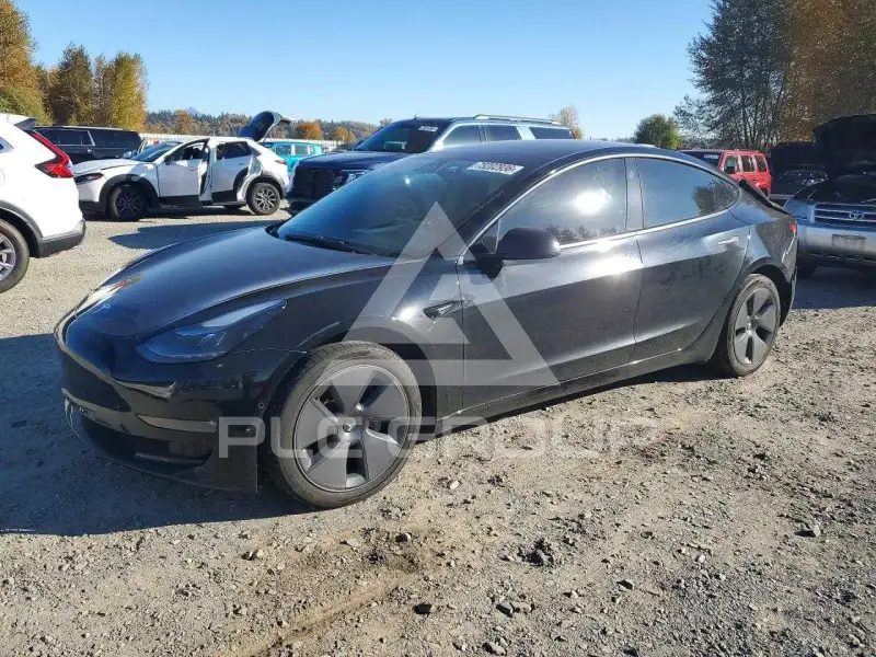 2022 Tesla Model 3 фото