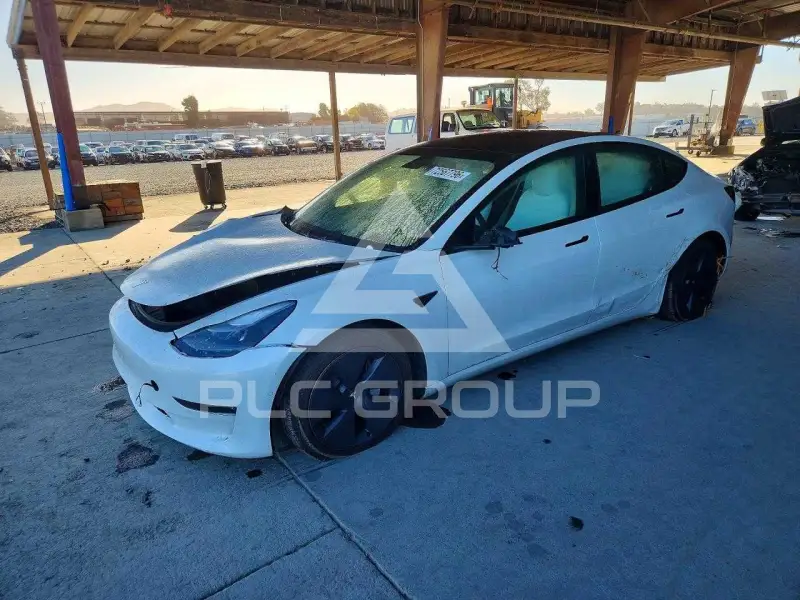 2022 Tesla Model 3 photo
