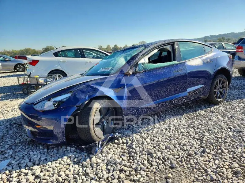 2022 Tesla Model 3 photo