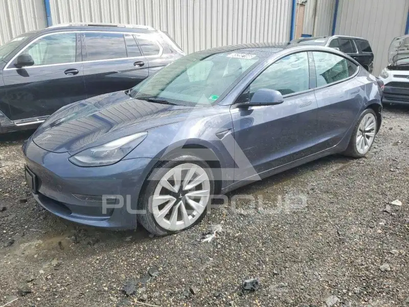 2022 Tesla Model 3 фото