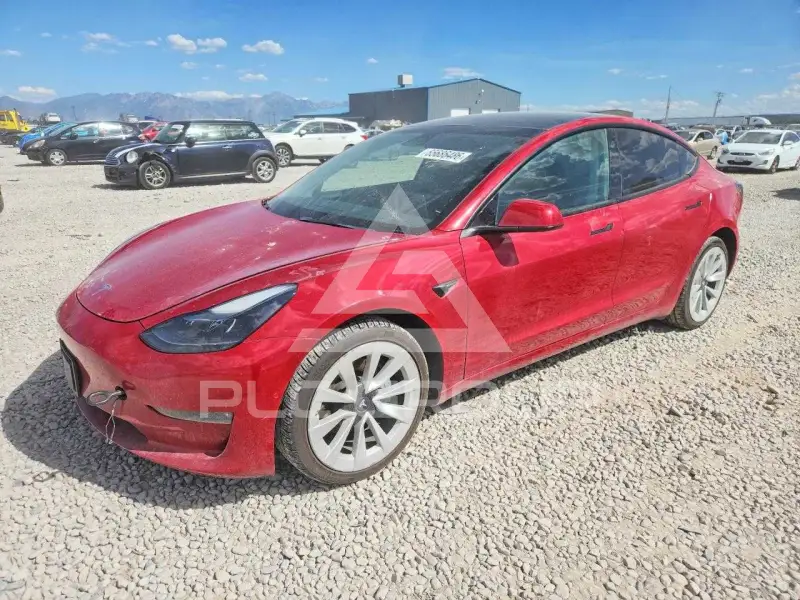 2022 Tesla Model 3 photo