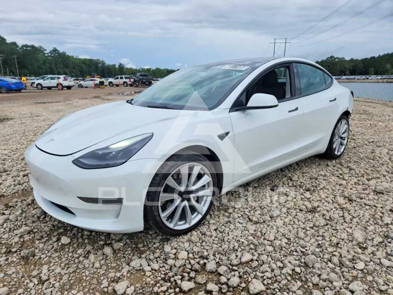 2022 Tesla Model 3 photo