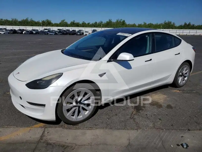 2022 Tesla Model 3 photo