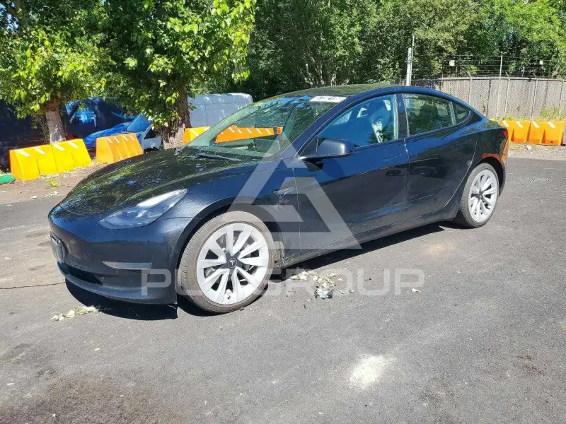2022 Tesla Model 3 photo