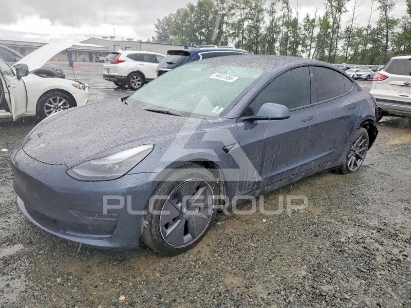 2022 Tesla Model 3 photo