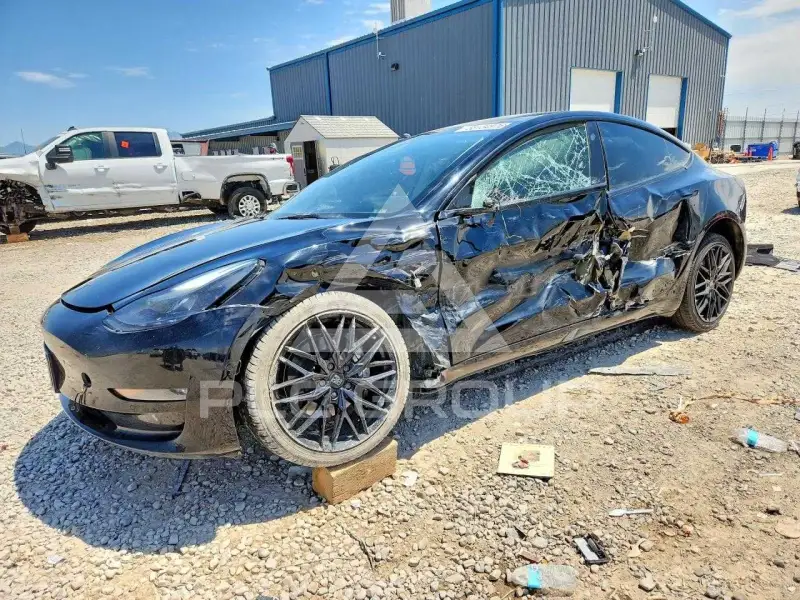 2022 Tesla Model 3 photo