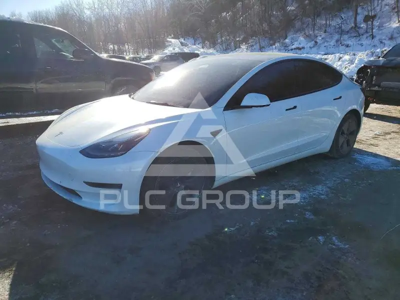 2022 Tesla Model 3 photo