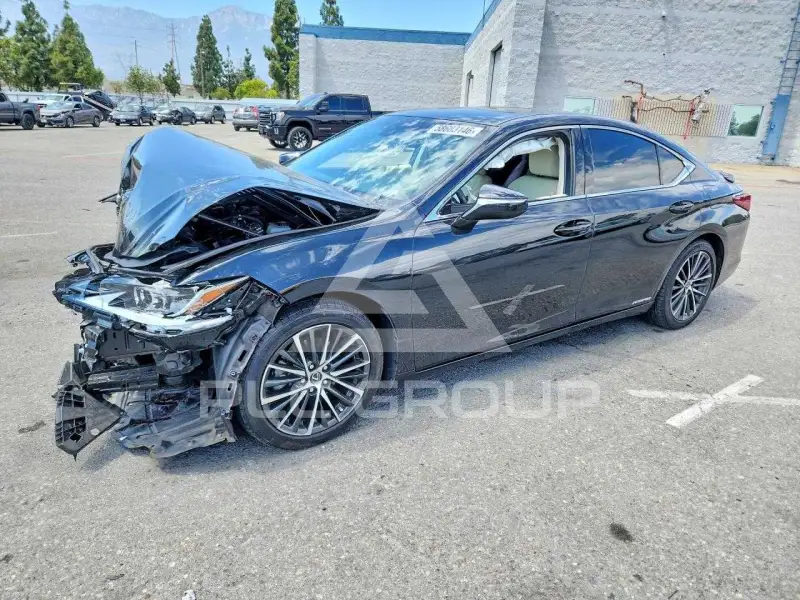 2022 Lexus ES300 photo