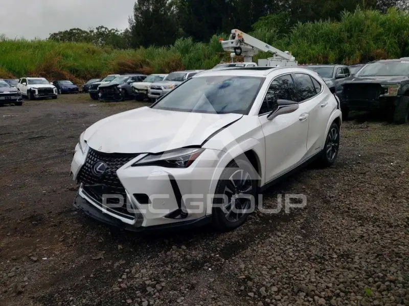 2022 Lexus Other photo