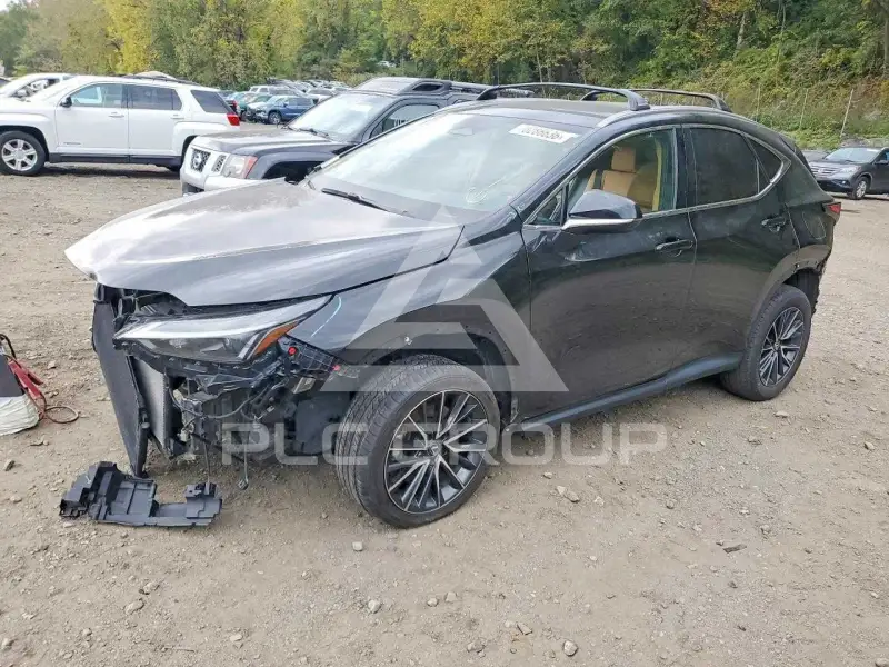 2022 Lexus NX фото