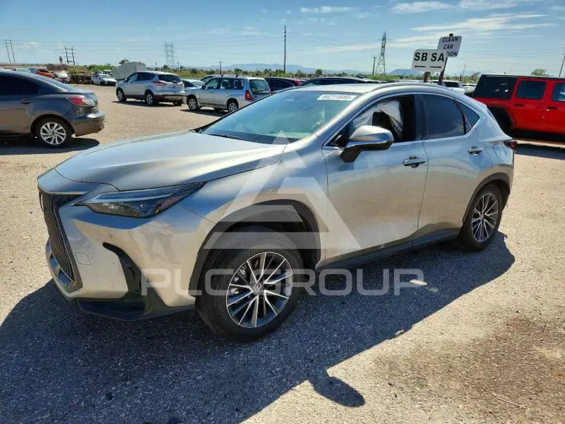 2022 Lexus NX photo