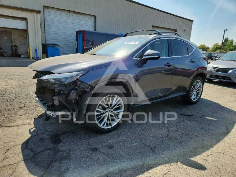 2022 Lexus NX фото