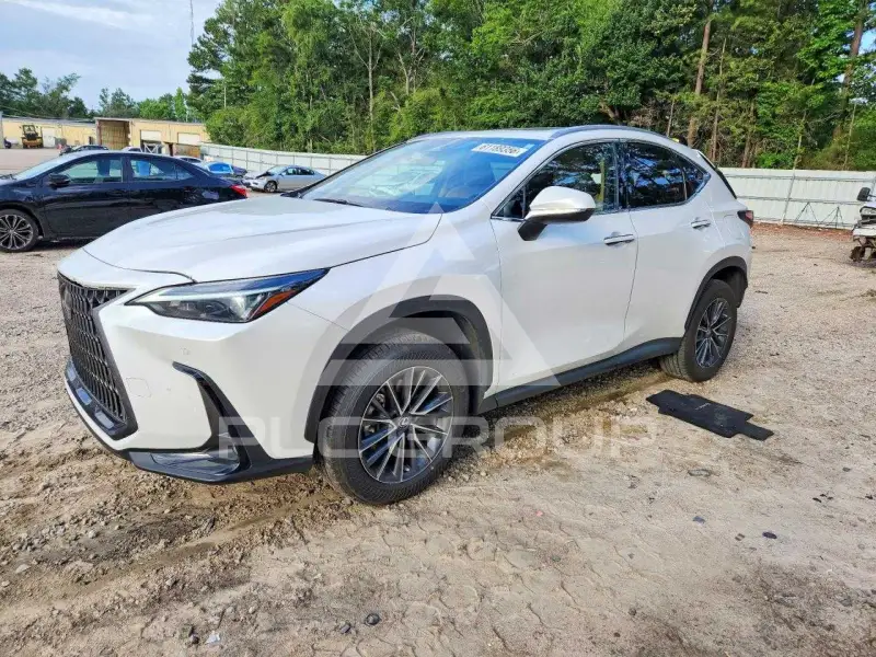 2022 Lexus NX фото