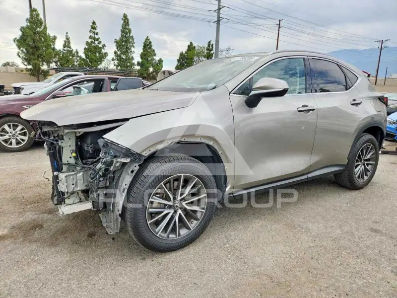 2022 Lexus NX фото