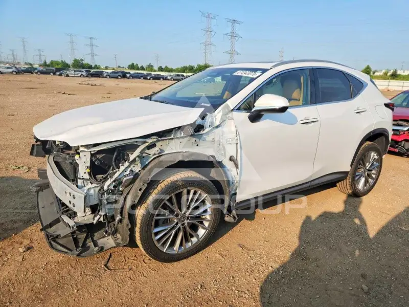 2022 Lexus NX фото