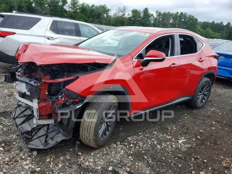 2022 Lexus NX photo