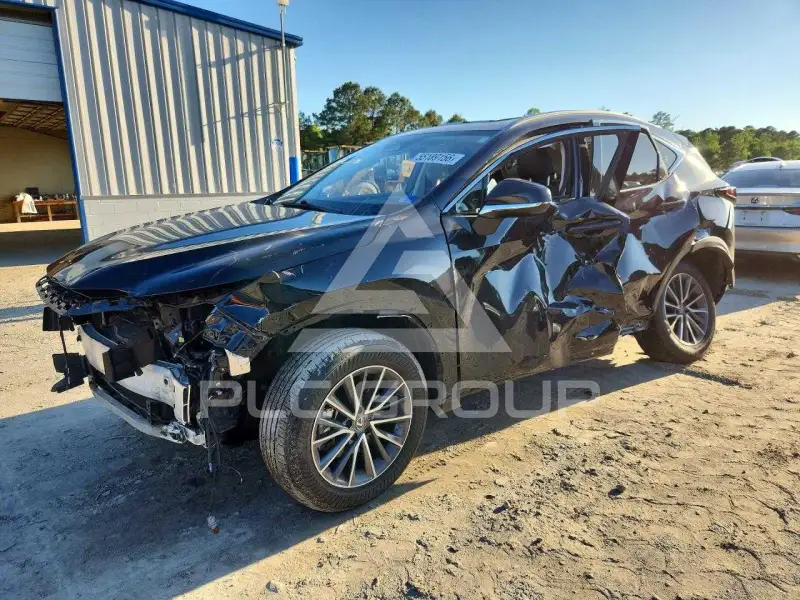 2022 Lexus NX photo