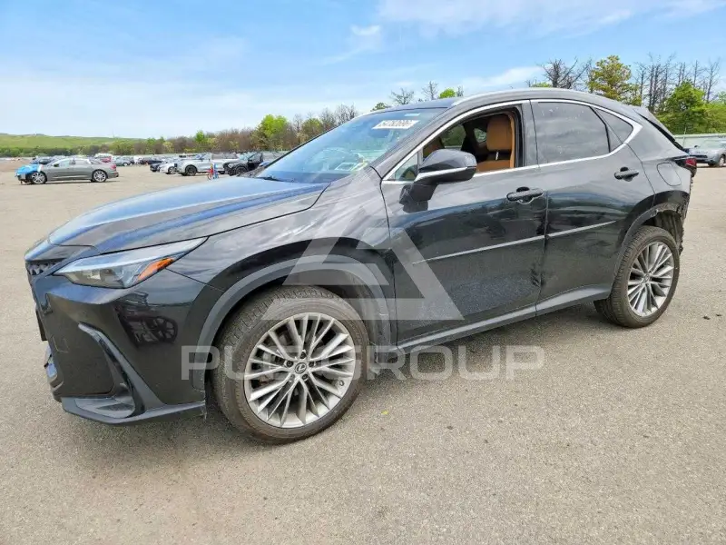 2022 Lexus NX250 photo