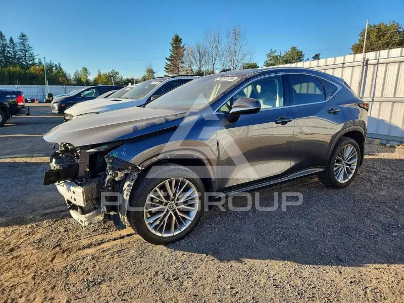 2022 Lexus NX фото