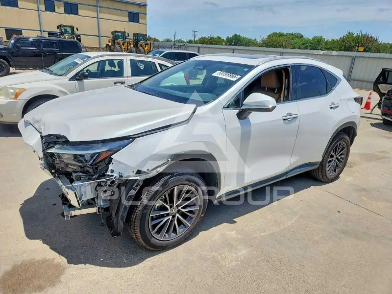 2022 Lexus NX фото