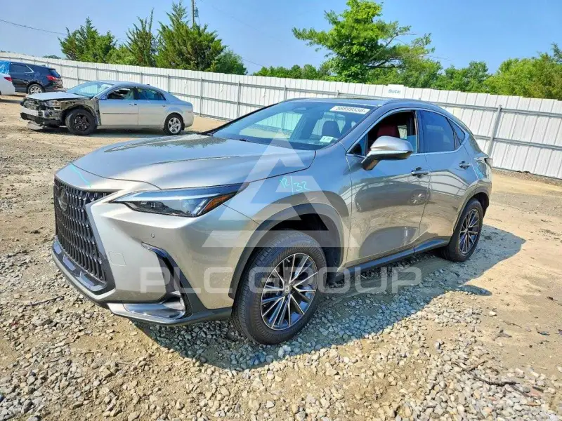 2022 Lexus NX фото