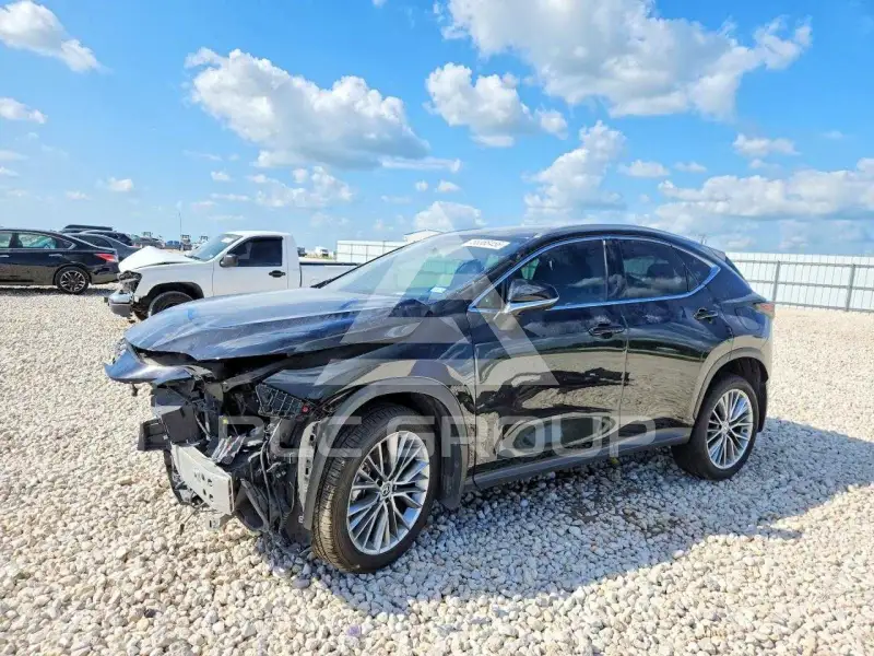 2022 Lexus NX фото